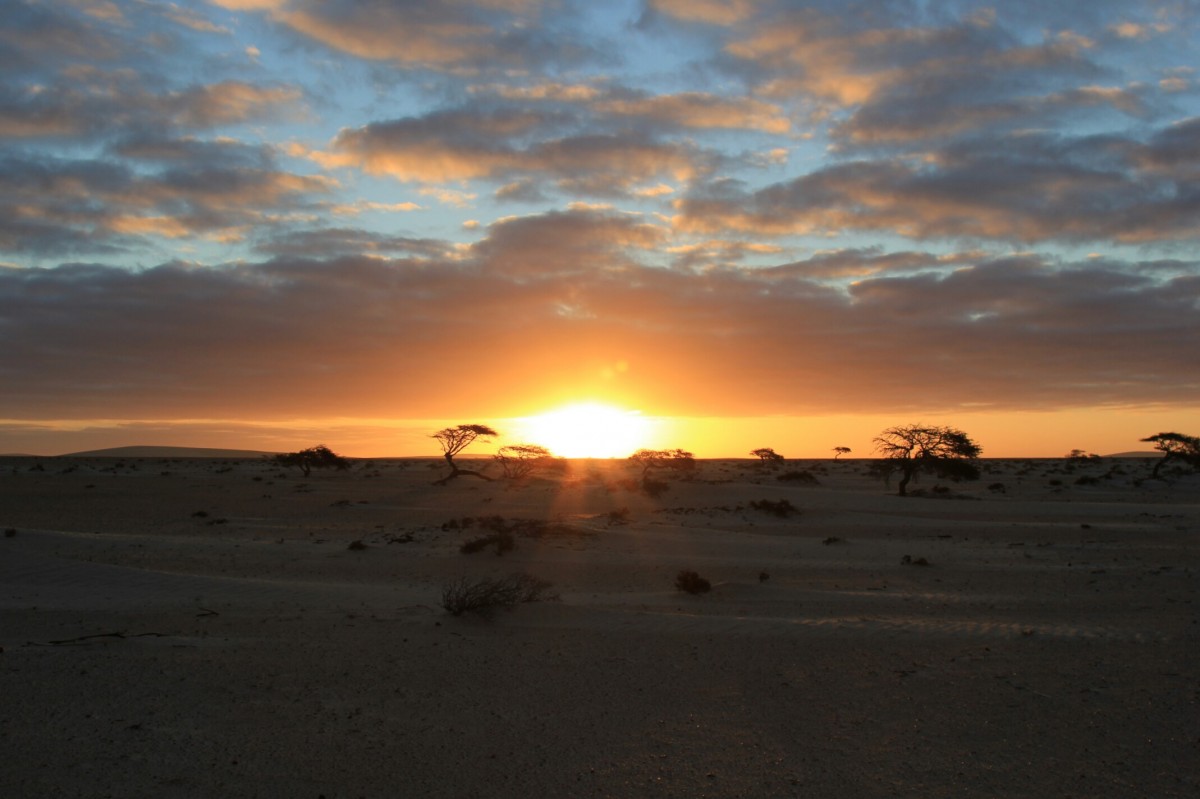 Zdjęcia: Sahara, Sahara, Wstaje dzień, SAHARA ZACHODNIA Zdjęcia: Sahara, Sahara, Wstaje dzień, SAHARA ZACHODNIA
