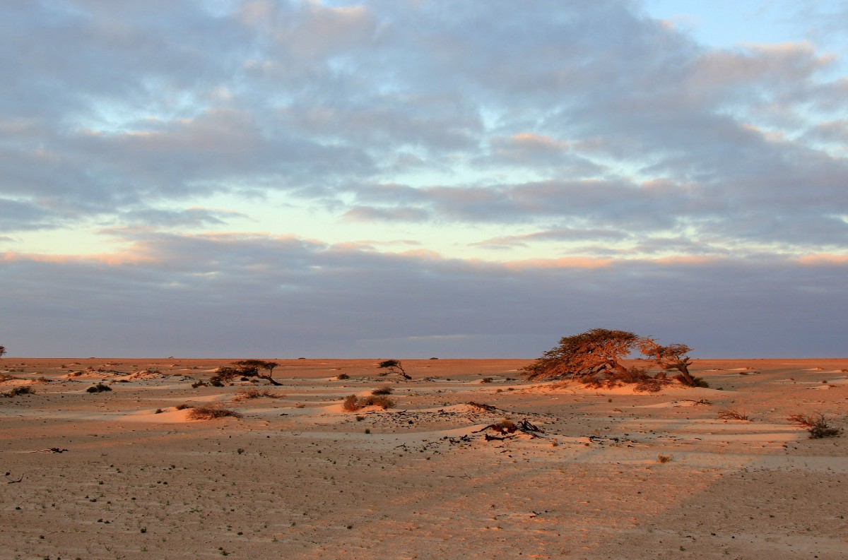 Zdjęcia: w piaskach pustyni, Sahara, Daleko od drogi, SAHARA ZACHODNIA Zdjęcia: w piaskach pustyni, Sahara, Daleko od drogi, SAHARA ZACHODNIA