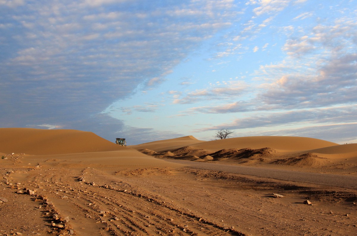 Zdjęcia: asfaltowa droga, Laâyoune-Sakia El Hamra,, Droga do El Hagounia, SAHARA ZACHODNIA Zdjęcia: asfaltowa droga, Laâyoune-Sakia El Hamra,, Droga do El Hagounia, SAHARA ZACHODNIA