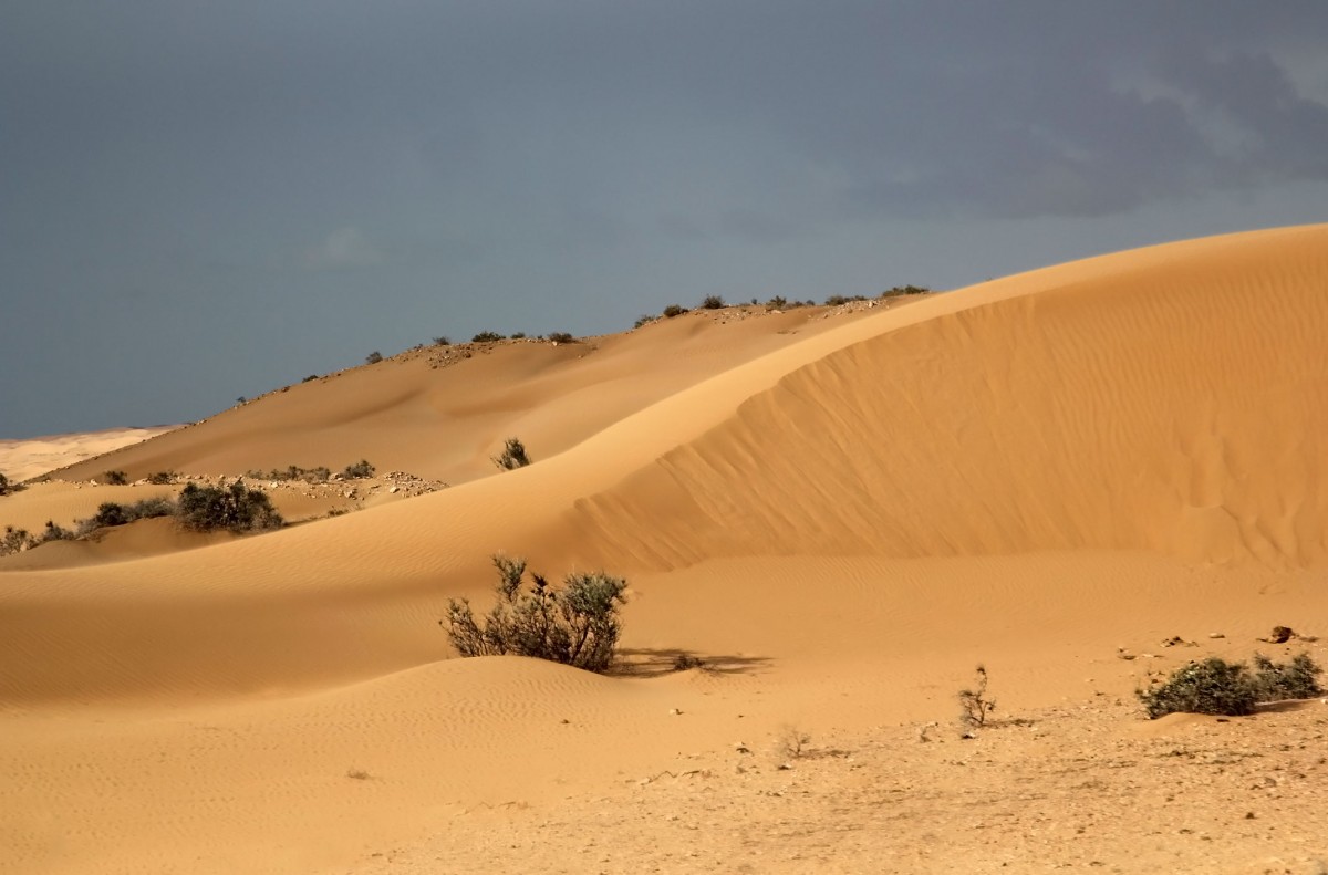 Zdjęcia: droga dojazdowa, Al-Ujun-As-Sakija al-Hamra, Przy drodze, SAHARA ZACHODNIA Zdjęcia: droga dojazdowa, Al-Ujun-As-Sakija al-Hamra, Przy drodze, SAHARA ZACHODNIA