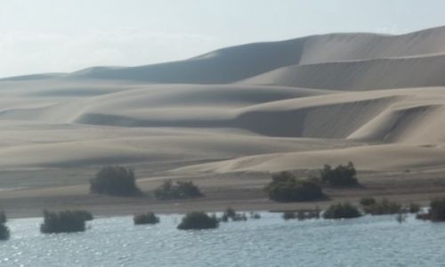 Zdjecie SAHARA ZACHODNIA / sahara / sahara / Sahara zachodnia samotna wyprawa