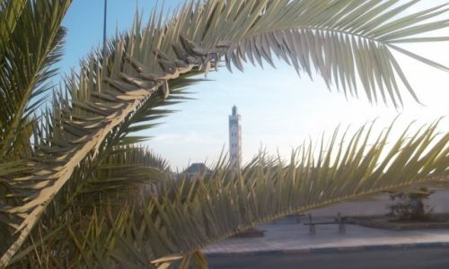 Zdjecie SAHARA ZACHODNIA / sahara / sahara / SAHARA ZACHODNIA