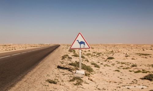 Zdj�cie SAHARA ZACHODNIA / Sahara Zachodnia / Sahara Zachodnia / African Road Trip - wybrze�e Sahary Zachodniej