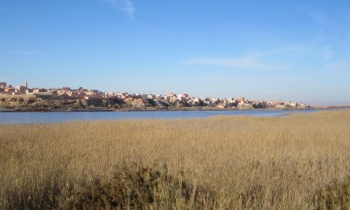 Zdjcie SAHARA ZACHODNIA / Al-Ujun / Al-Ujun / nad rzek Saguia el Hamra