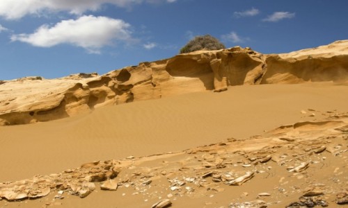 Zdjcie SAHARA ZACHODNIA / Al-Ujun-As-Sakija al-Hamra. / nad Atlantykiem / Ciekawe formacje