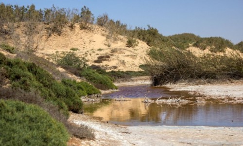 Zdjcie SAHARA ZACHODNIA / Dakhla-Oued Ed-Dahab / Sebkhet Imlily / Woda na pustyni