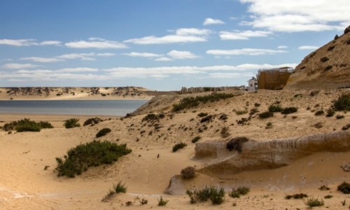 Zdjęcie SAHARA ZACHODNIA / Ad-Dachla-Wadi az-Zahab / PółwysepYala / Dakhla czyli