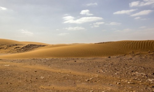 Zdjcie SAHARA ZACHODNIA / Al-Ujun-As-Sakija al-Hamra /  El-Hagunia / W starym forcie