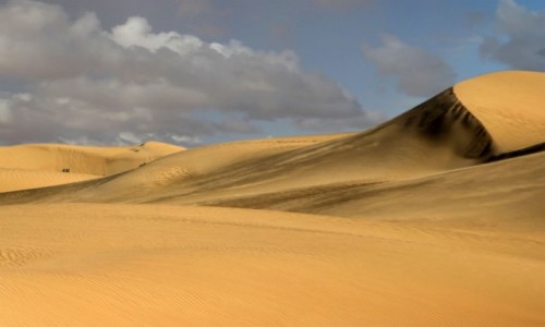 Zdjcie SAHARA ZACHODNIA / Al-Ujun-As-Sakija al-Hamra / gdzie po drodze / Po deszczu