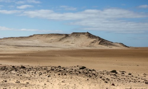 Zdjęcie SAHARA ZACHODNIA / Ad-Dachla-Wadi az-Zahab / gdzieś po drodze / Pojeździć po dnie zatoki
