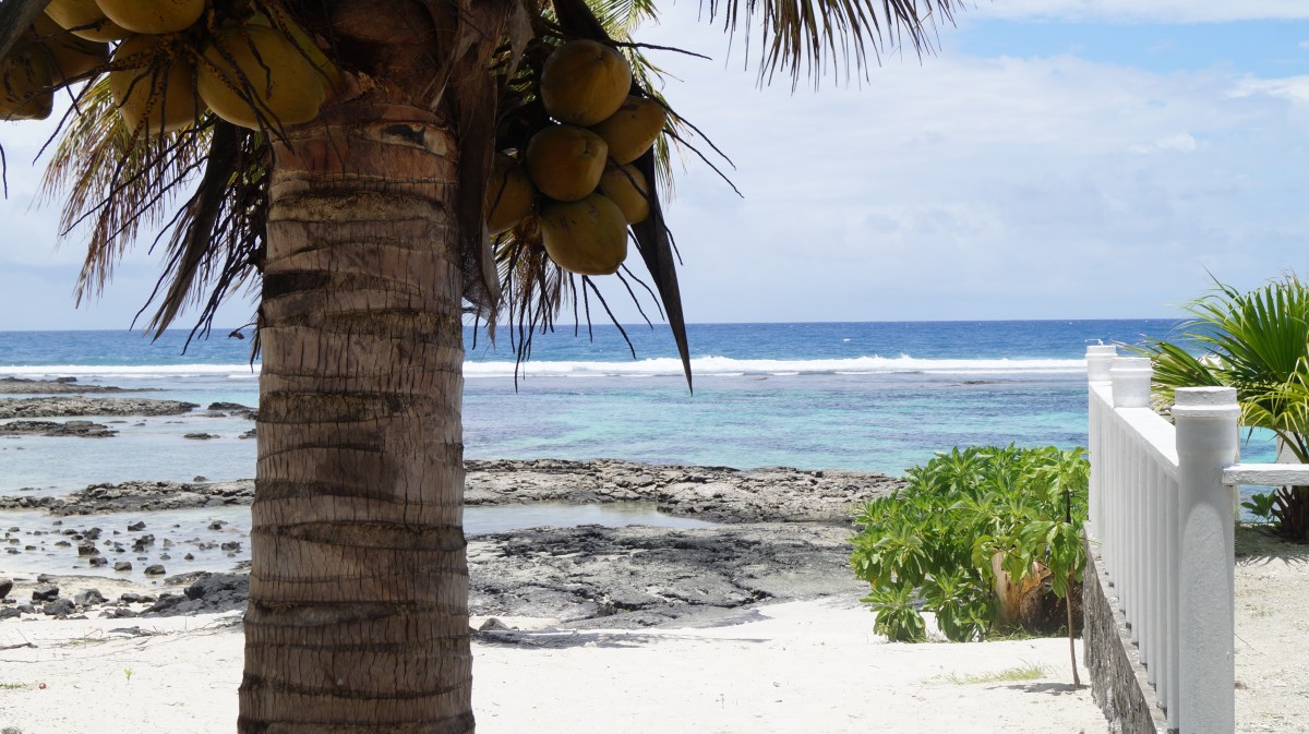 Zdjęcia: plaża, Samoa, samoa - plaża, SAMOA Zdjęcia: plaża, Samoa, samoa - plaża, SAMOA