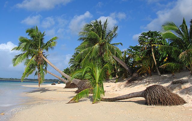 Zdjęcia: Manase Beach, Savai'i, Na plaży Manase, SAMOA ZACHODNIE Zdjęcia: Manase Beach, Savai'i, Na plaży Manase, SAMOA ZACHODNIE