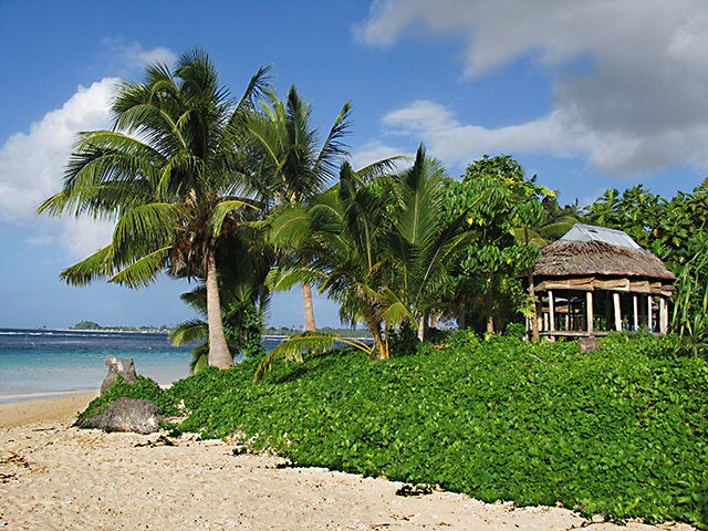 Zdjęcia: Fagamalo, Savaii, Tu był raj (do wczoraj), SAMOA ZACHODNIE Zdjęcia: Fagamalo, Savaii, Tu był raj (do wczoraj), SAMOA ZACHODNIE