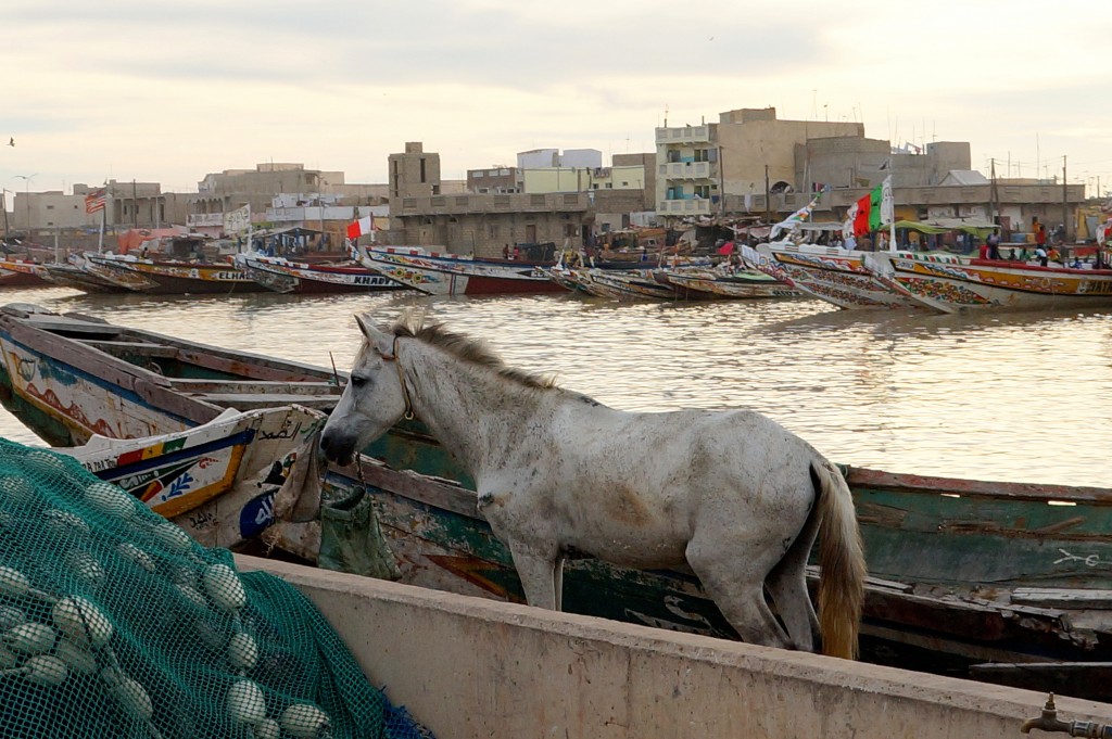 Zdjęcia: port rybacki w Saint Louis, Saint Louis, Niepasujący element, SENEGAL Zdjęcia: port rybacki w Saint Louis, Saint Louis, Niepasujący element, SENEGAL