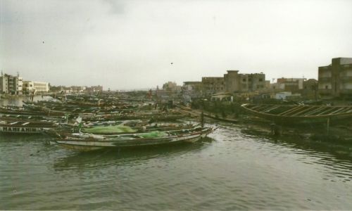Zdjcie SENEGAL / Pn. Senegal / Saint-Louis / Przysta