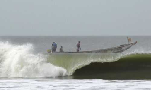 Zdjcie SENEGAL / Prowincja Casamance / Cap Skirring / W drodze na poowy