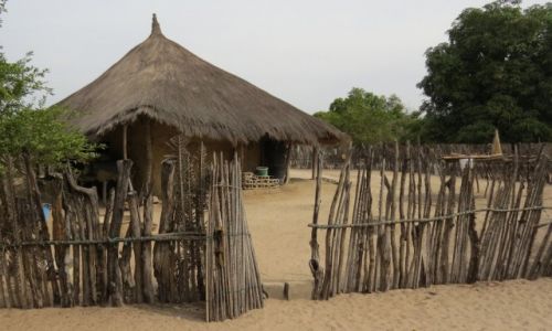 Zdjcie SENEGAL / Prowincja Casamance / Cap Skirring / Typowa zabudowa