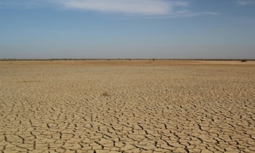 Zdjecie SENEGAL / Sahel / Sahel / Nie ma wody na pustyni