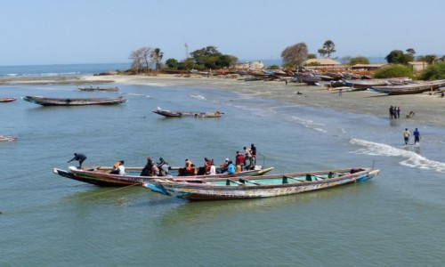Zdjcie SENEGAL / - / Barra / Barra