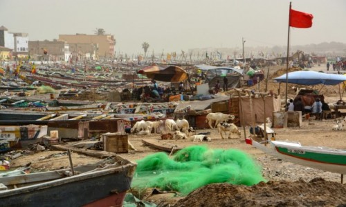 Zdjcie SENEGAL / - / Saint Louis / Cz rybacka Saint Louis