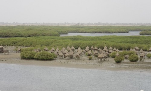 Zdjęcie SENEGAL / Fatick / De Fadiouth / Widok z wyspy De Fadiouth