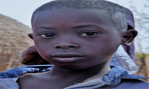Zdjcie SENEGAL / Poudniowy wschd Senegalu / Wioska Bassari / Bassari