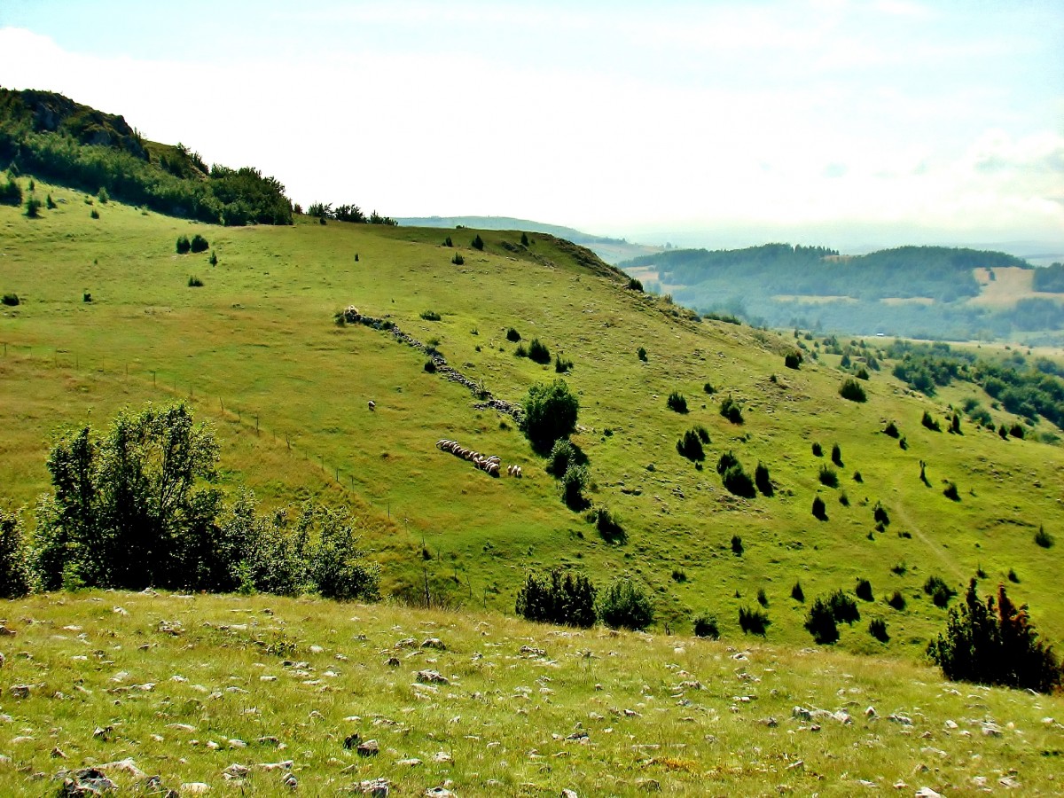 Zdjęcia: Sjenica, płd.-zach.Serbia, W pobliżu kanionu rzeki Uvac, SERBIA Zdjęcia: Sjenica, płd.-zach.Serbia, W pobliżu kanionu rzeki Uvac, SERBIA