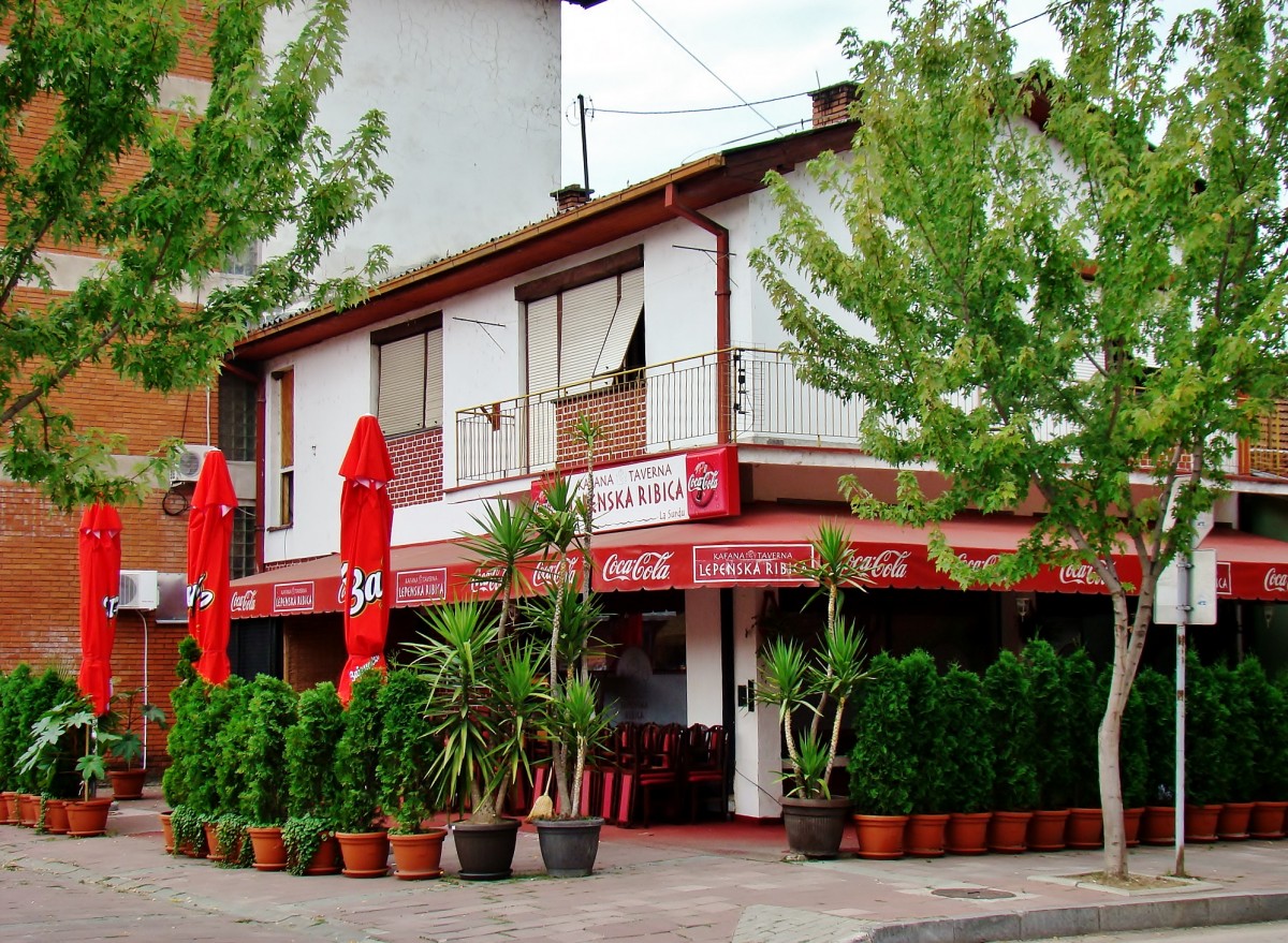 Zdjęcia: Donji Milanovac, Borski,Park Narodowy Djerdap, Uliczka w Donji Milanovac, SERBIA Zdjęcia: Donji Milanovac, Borski,Park Narodowy Djerdap, Uliczka w Donji Milanovac, SERBIA