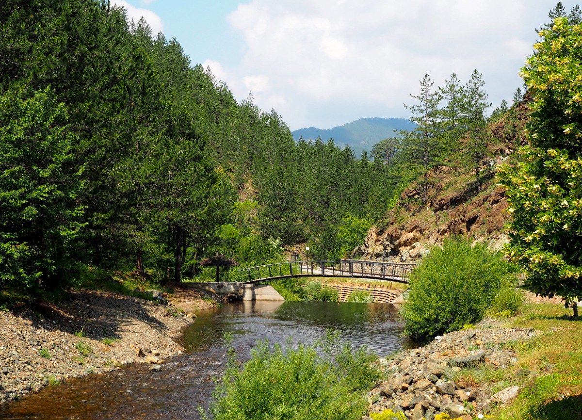 Zdjęcia: Mokra Gora, w drodze do źródła...., SERBIA Zdjęcia: Mokra Gora, w drodze do źródła...., SERBIA