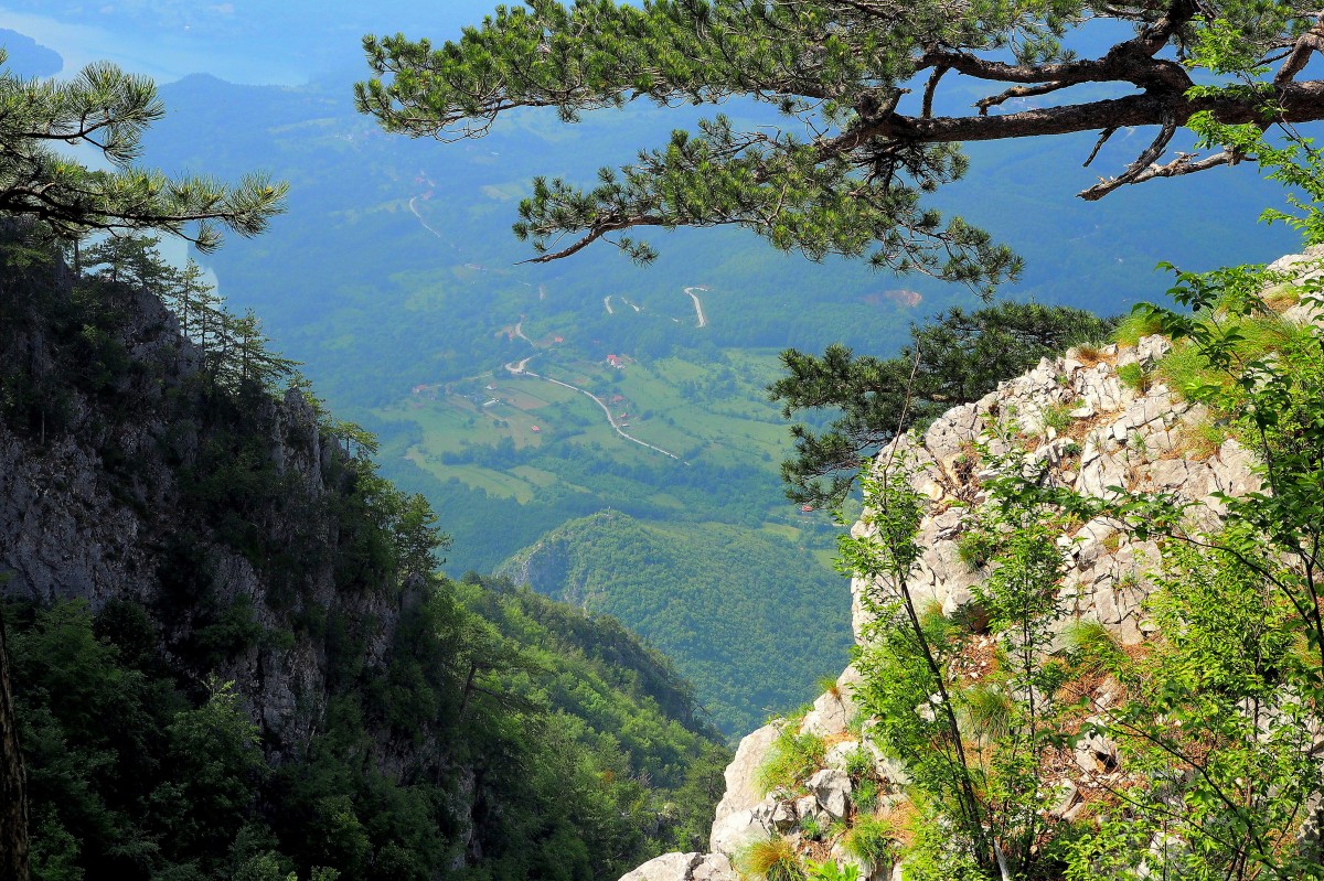 Zdjęcia: Banjska Stena, Zlatibor, chciałoby się bliżej..., SERBIA Zdjęcia: Banjska Stena, Zlatibor, chciałoby się bliżej..., SERBIA