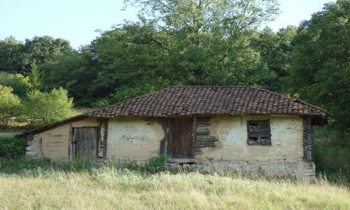 Zdjecie SERBIA / Negotin / okolice Negotina / Bakaskie klimaty