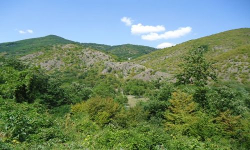 Zdjcie SERBIA / Raszka / okolice monastyru Studenica / Serbskie krajobrazy