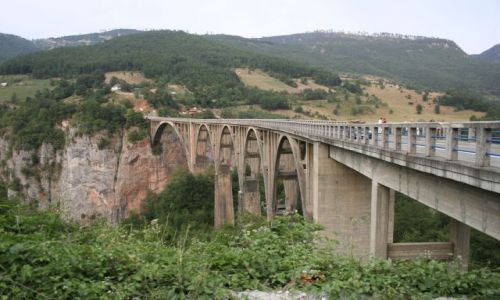 Zdjecie SERBIA / brak / Durmitor / Most na Tarze