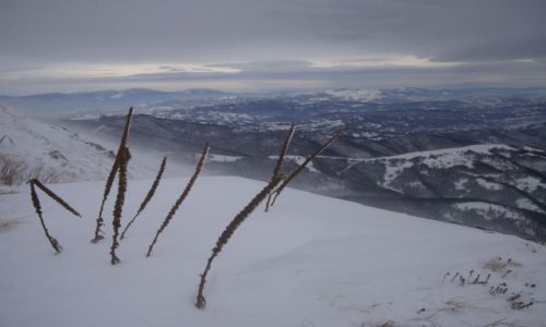 Zdj�cie SERBIA / Stara P�anina / Babin Zub / Mid�ur