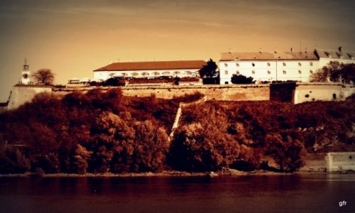 Zdjęcie SERBIA / Wojwodina / Petrovaradin, Nowy Sad / Petrovaradin