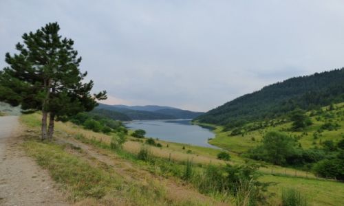 Zdjecie SERBIA / Tara / Mitrovac / Park Narodowy Tara