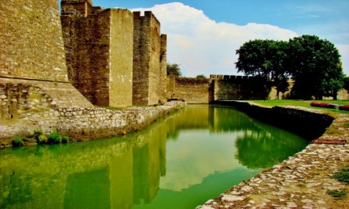 Zdjcie SERBIA / - / Smederevo / Smederevo-twierdza z XV wieku