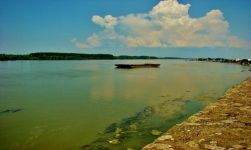 Zdjcie SERBIA / - / Smederevo / Smederevo-Dunaj widziany z twierdzy