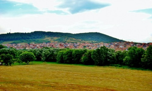 Zdjcie SERBIA / pd.-zach.Serbia,okrg Raska / Novi Pazar / Novi Pazar-widok ze wgrza Ras