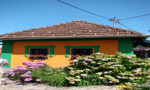 Zdjcie SERBIA / zach.Serbia,Zlatibor / Zlakusa / Zlakusa-etno park Terzica Avlija