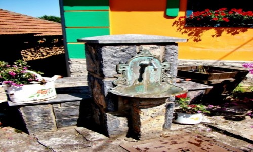 Zdjcie SERBIA / zach.Serbia,Zlatibor / Zlakusa / Zlakusa-etno park Terzica Avlija