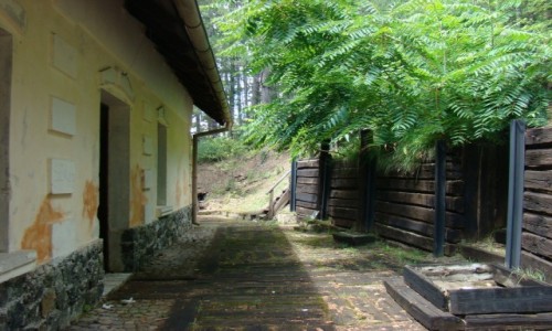 Zdjcie SERBIA / zach.Serbia / Mokra Gora / Sarganska Osmica-stacja Golubici