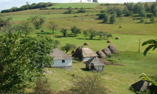 Zdjecie SERBIA / pd.-zach.Serbia / Sjenica / W pobliu kanionu rzeki Uvac
