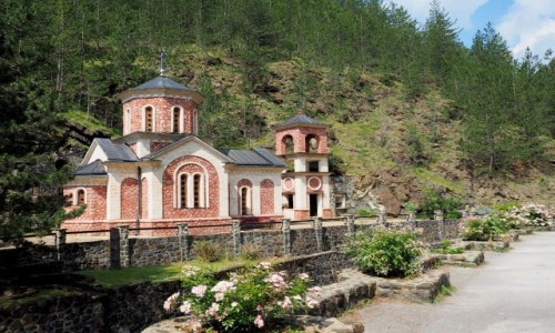 Zdjcie SERBIA / - / Mokra Gora / u rda...