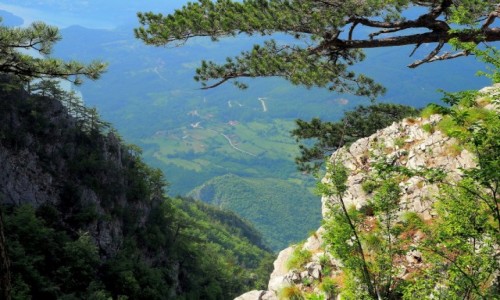 Zdjecie SERBIA / Zlatibor / Banjska Stena / chciaoby si bliej...