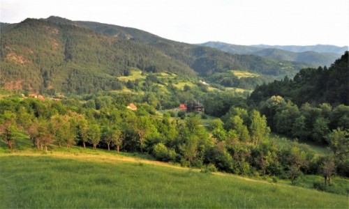 Zdjcie SERBIA / Zlatibor / okolice Mokrej  Gory / zielona Serbia....