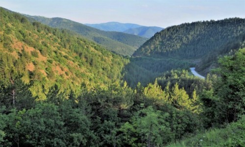 Zdjcie SERBIA / Zlatibor / okolice Mokrej  Gory / przed zmierzchem...