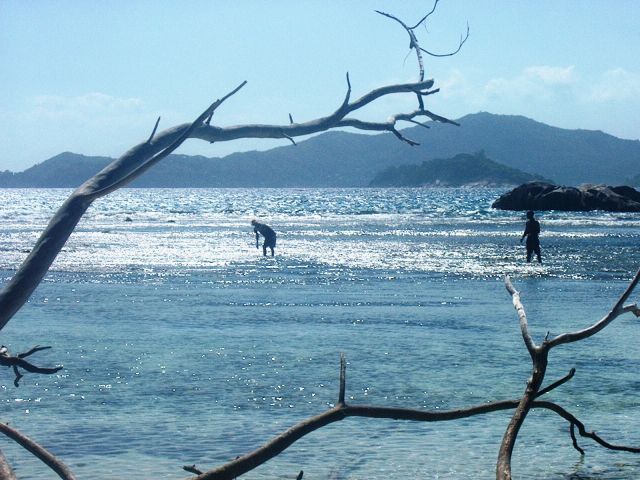 Zdjęcia: La Digue, polow, SESZELE Zdjęcia: La Digue, polow, SESZELE