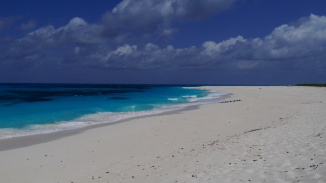 Zdj cia: Bird Island, Seychelles 2013, SESZELE Zdj cia: Bird Island, Seychelles 2013, SESZELE