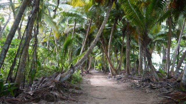 Zdj cia: .., Denis Private Island, konkurs, SESZELE Zdj cia: .., Denis Private Island, konkurs, SESZELE